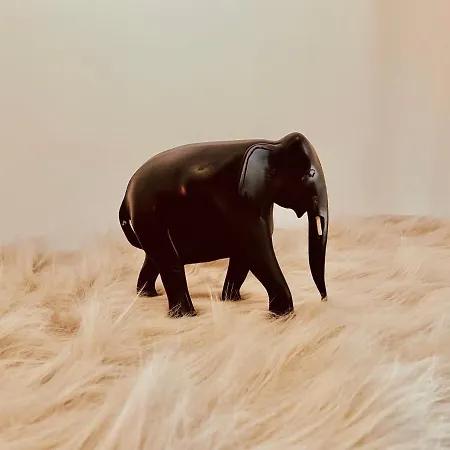 Starnberger Daire Feldafing